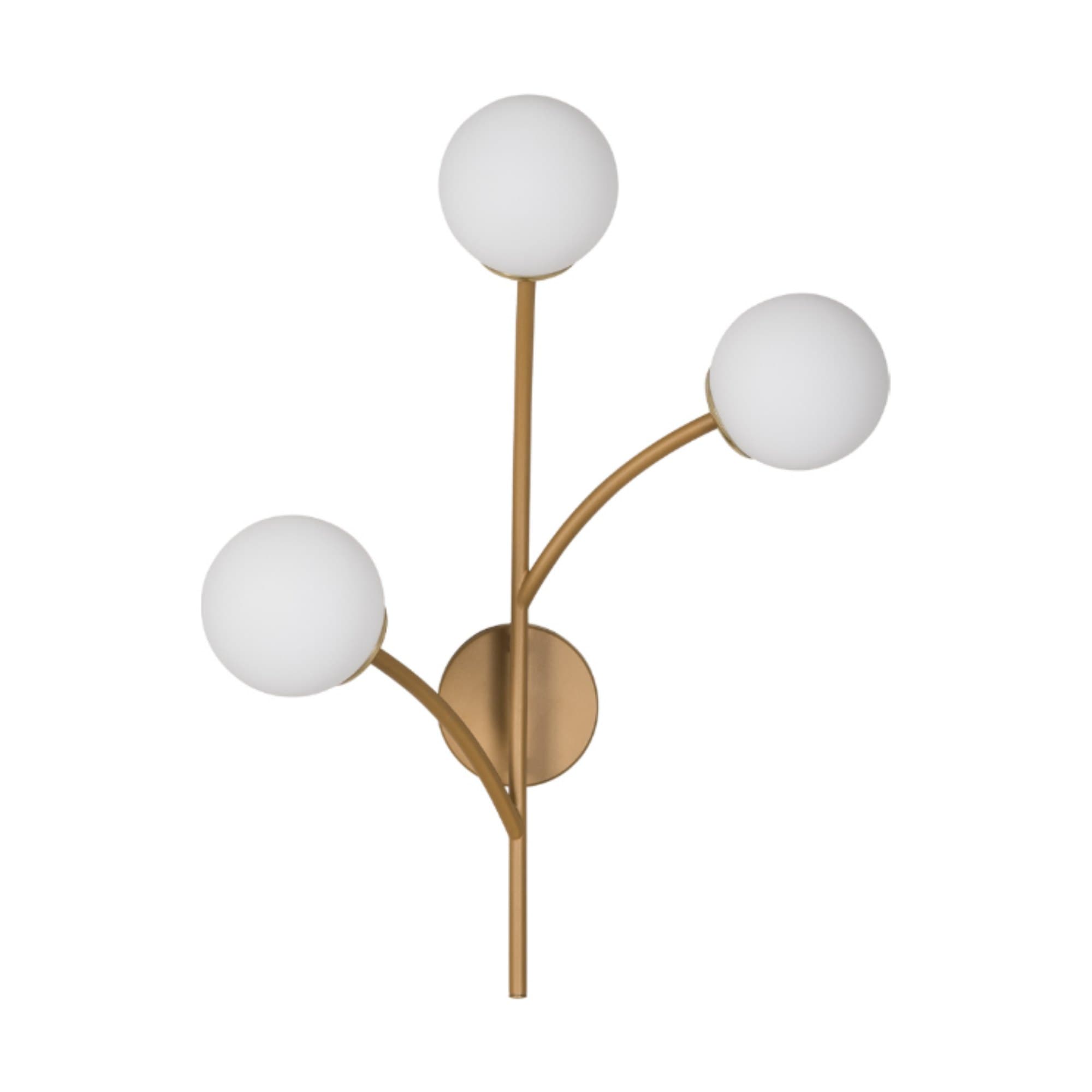 Zuca — Usina Design